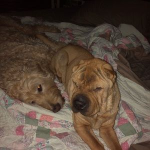 Meet your Posher, Erica